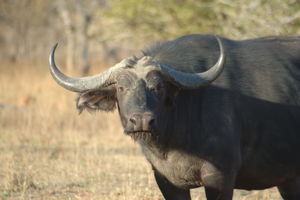 Tanzania - Historical Photo 2007
