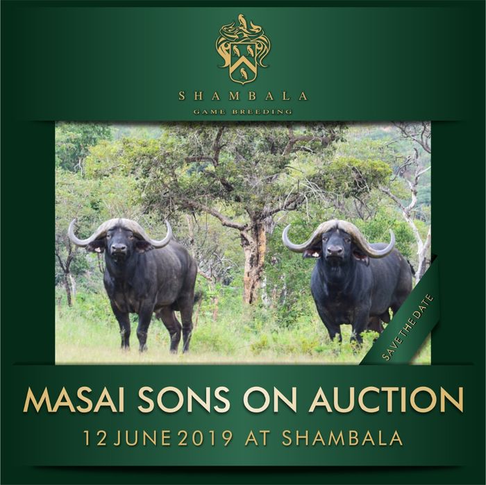 Masai Sons