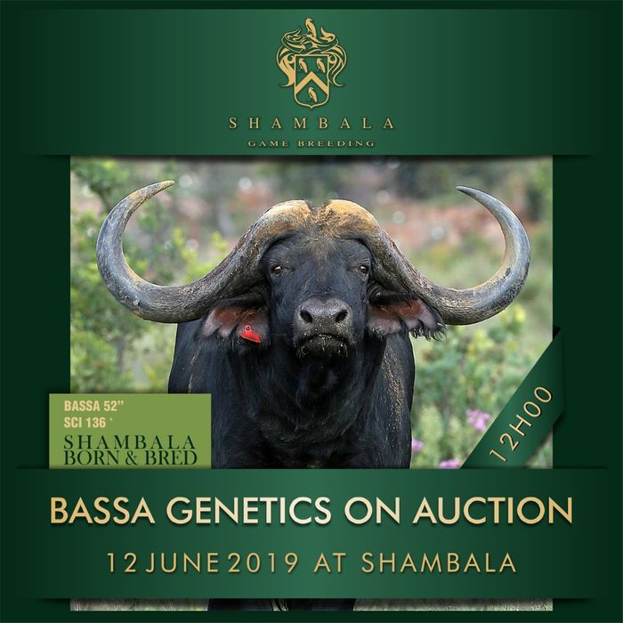 Bassa Genetics