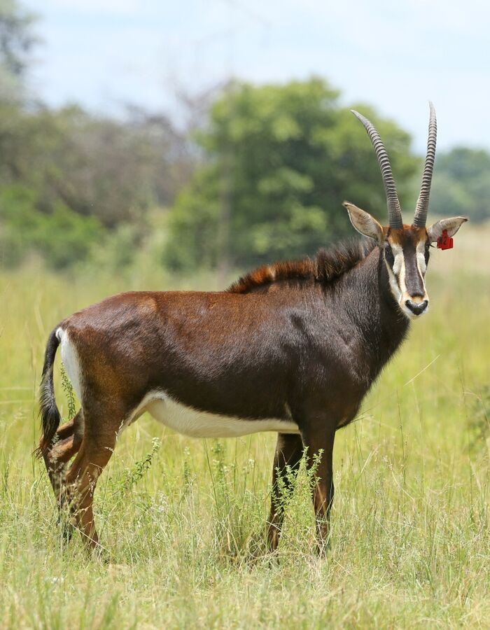 Lot 8.jpg